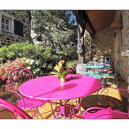 Ferme Du Pic D'allier Saint-Martin-le-Supérieur