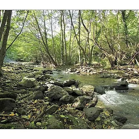 Ferme Du Pic D'allier לינה וארוחת בוקר Saint-Martin-le-Supérieur